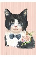 The Cat Lover Collection
