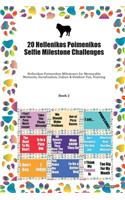 20 Hellenikos Poimenikos Selfie Milestone Challenges: Hellenikos Poimenikos Milestones for Memorable Moments, Socialization, Indoor & Outdoor Fun, Training Book 2