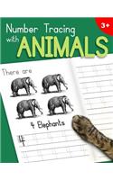 Number Tracing With Animals