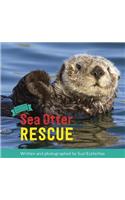 Sea Otter Rescue: Wildlife Rescue