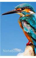 Notebook: Kingfisher Bird Book Notepad Notebook Composition and Journal Gratitude Diary
