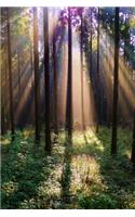 Sunlight Shining into a Japanese Forest Journal: Take Notes, Write Down Memories in this 150 Page Lined Journal