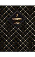 3 Column Ledger