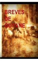 Breves de Guyane