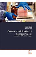 Genetic modification of Escherichia coli