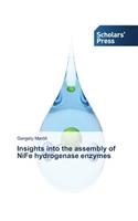 Insights into the assembly of NiFe hydrogenase enzymes