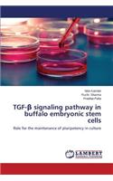 TGF-ß signaling pathway in buffalo embryonic stem cells