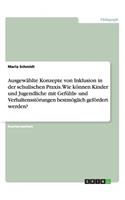 Ausgewählte Konzepte von Inklusion in der schulischen Praxis. Wie können Kinder und Jugendliche mit Gefühls- und Verhaltensstörungen bestmöglich gefördert werden?