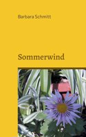Sommerwind
