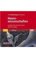 Bild-DVD, Neurowissenschaften