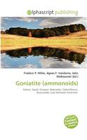 Goniatite (Ammonoids)