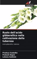 Ruolo dell'acido gibberellico nella coltivazione della tuberosa