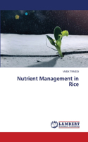 Nutrient Management in Rice