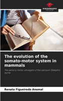 evolution of the somato-motor system in mammals