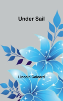 The Mysterious Wanderer, Volume. I (Edition1)