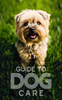 Guide to Dog Care
