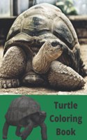 Turtle Coloring Book