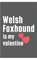 Welsh Foxhound is my valentine