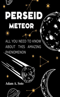 Perseid Meteor