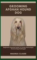 Grooming Afghan Hound Dog