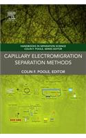 Capillary Electromigration Separation Methods