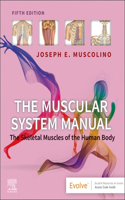 Muscular System Manual