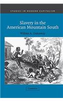 Slavery in the American Mountain South