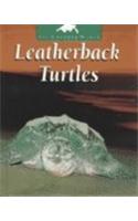 Leatherback Turtles