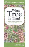What Tree Is That?