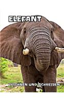 Elefant