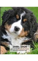 2019 - 2020 18 Month Weekly & Monthly Planner July 2019 to December 2020