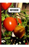 Notebook: Prise de notes, original & pratique de 110 pages lignées avec une couverture photo - Tomates Culture Jardinage Agriculture