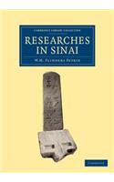 Researches in Sinai