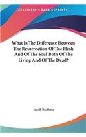 What Is The Difference Between The Resurrection Of The Flesh And Of The Soul Both Of The Living And Of The Dead?: (English)