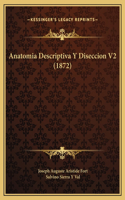 Anatomia Descriptiva Y Diseccion V2 (1872)