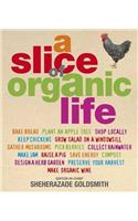Slice Of Organic Life : Get Closer