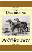 Deerhound - A Dog Anthology (A Vintage Dog Books Breed Classic)