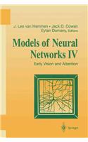 Models of Neural Networks IV