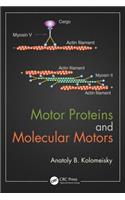 Motor Proteins and Molecular Motors