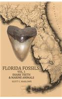Florida Fossils: Shark Teeth & Marine Animals
