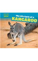 The Life Cycle of a Kangaroo: (Watch Them Grow!)