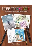 Life In Color: A Photographic Coloring Book