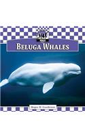 Beluga Whales
