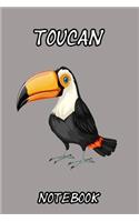 Toucan notebook