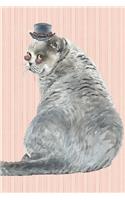 The Cat Lover Collection