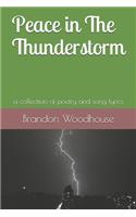 Peace in The Thunderstorm