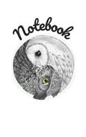 Notebook: Owl Homework Book Composition and Practice Tracker