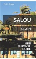 Salou Mini Survival Guide