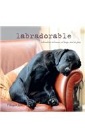 Labradorable