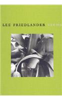Friedlander Lee - Stems